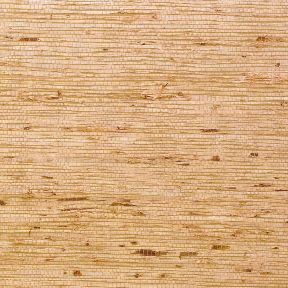 Ashanti Wallpaper - Sand - Andrew Martin - ECASSA - Premier Wallcovering