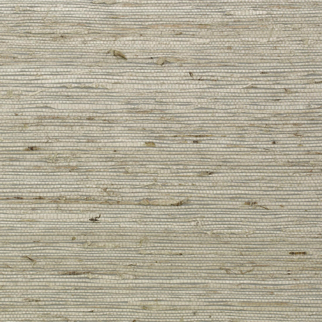 Ashanti Wallpaper - Pebble - Andrew Martin - ECASPE - Premier Wallcovering