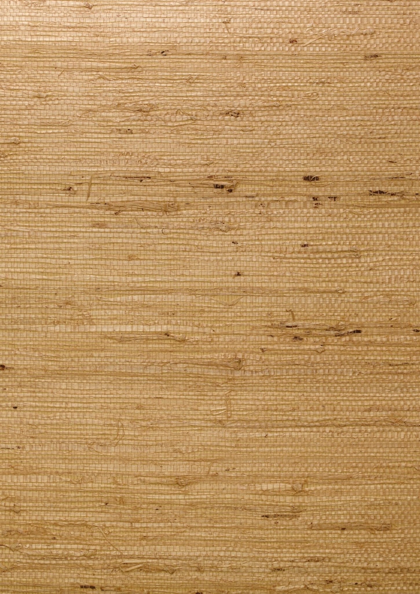 Ashanti Wallpaper - Straw - Andrew Martin - ECASST - Premier Wallcovering