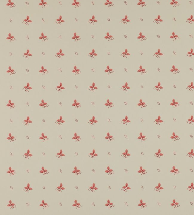 Ashling Wallpaper - Pink - Colefax & Fowler - 07406/04 - Premier Wallcovering