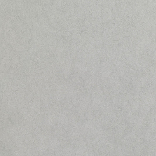 Asper Wallpaper - Silver - Romo - Lomasi - W399/06 - Premier Wallcovering