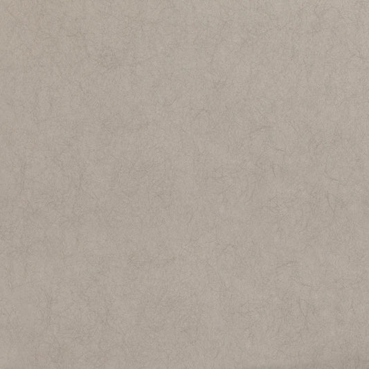 Asper Wallpaper - Indium - Romo - Lomasi - W399/03 - Premier Wallcovering