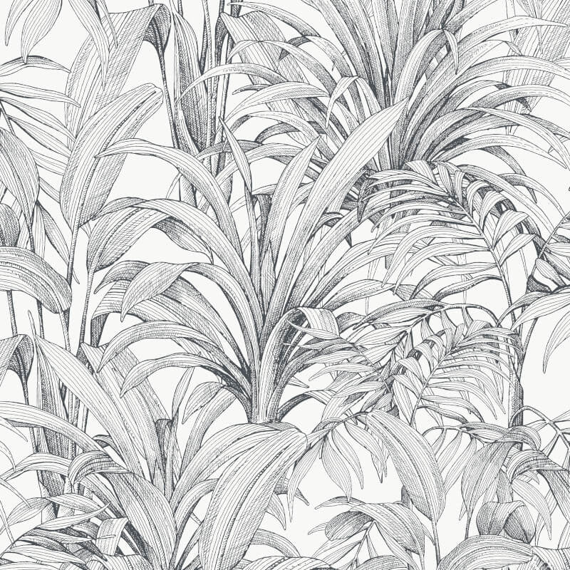 Asperia Linear Leaf Wallpaper - White/Black - Grandeco - A51401 - Premier Wallcovering