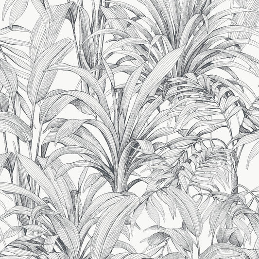 Asperia Linear Leaf Wallpaper - White/Black - Grandeco - A51401 - Premier Wallcovering