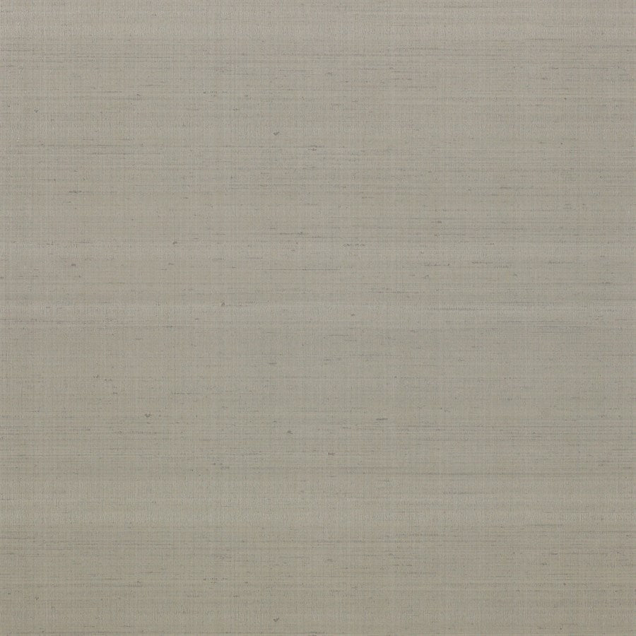 Astral Wallpaper - Silver - J158W - 05 - Jane Churchill - Premier Wallcovering