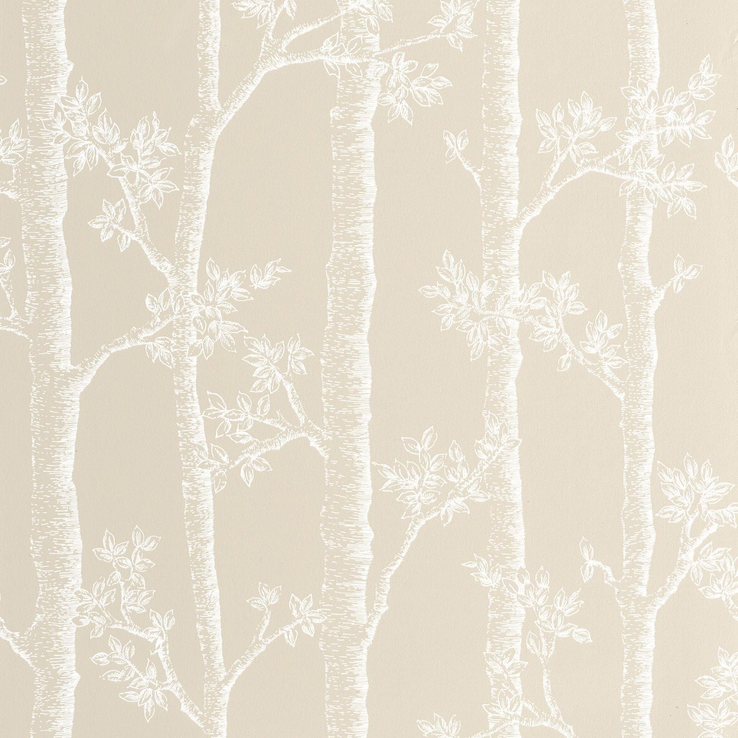 Automne Wallpaper - Beige - Caselio - 106121109 - Premier Wallcovering