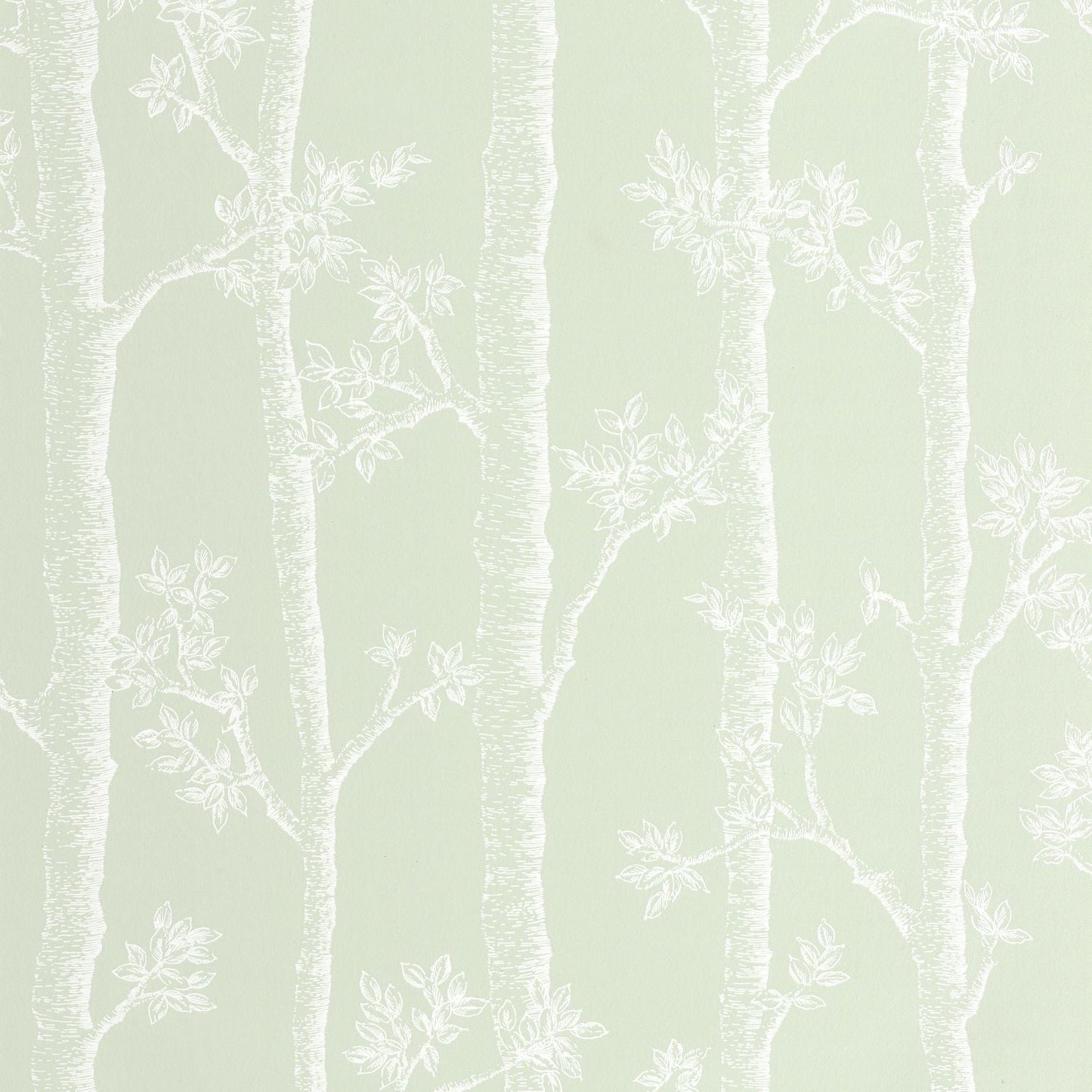 Automne Wallpaper - Vert D'eau - Caselio - 106127075 - Premier Wallcovering