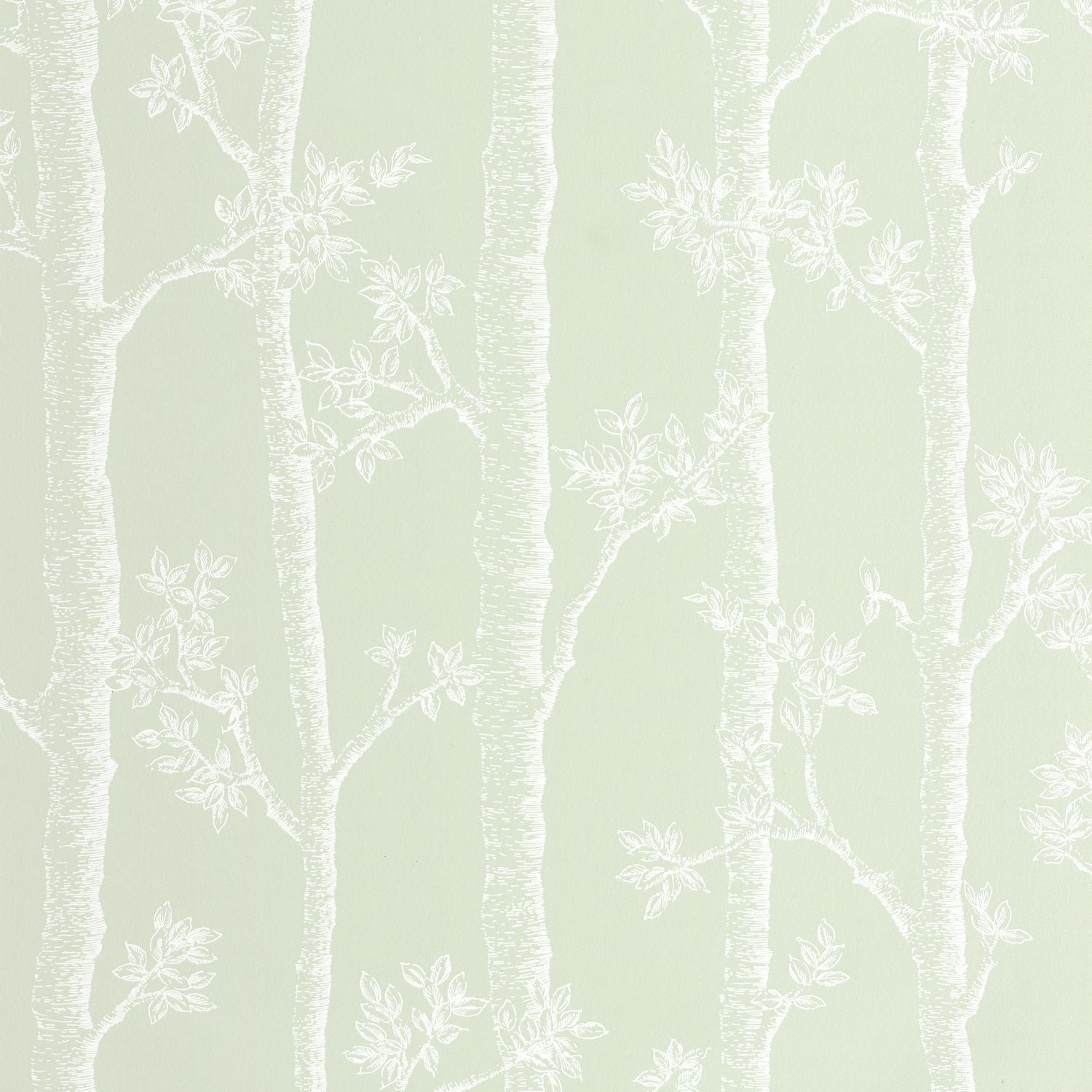 Automne Wallpaper - Vert D'eau - Caselio - 106127075 - Premier Wallcovering