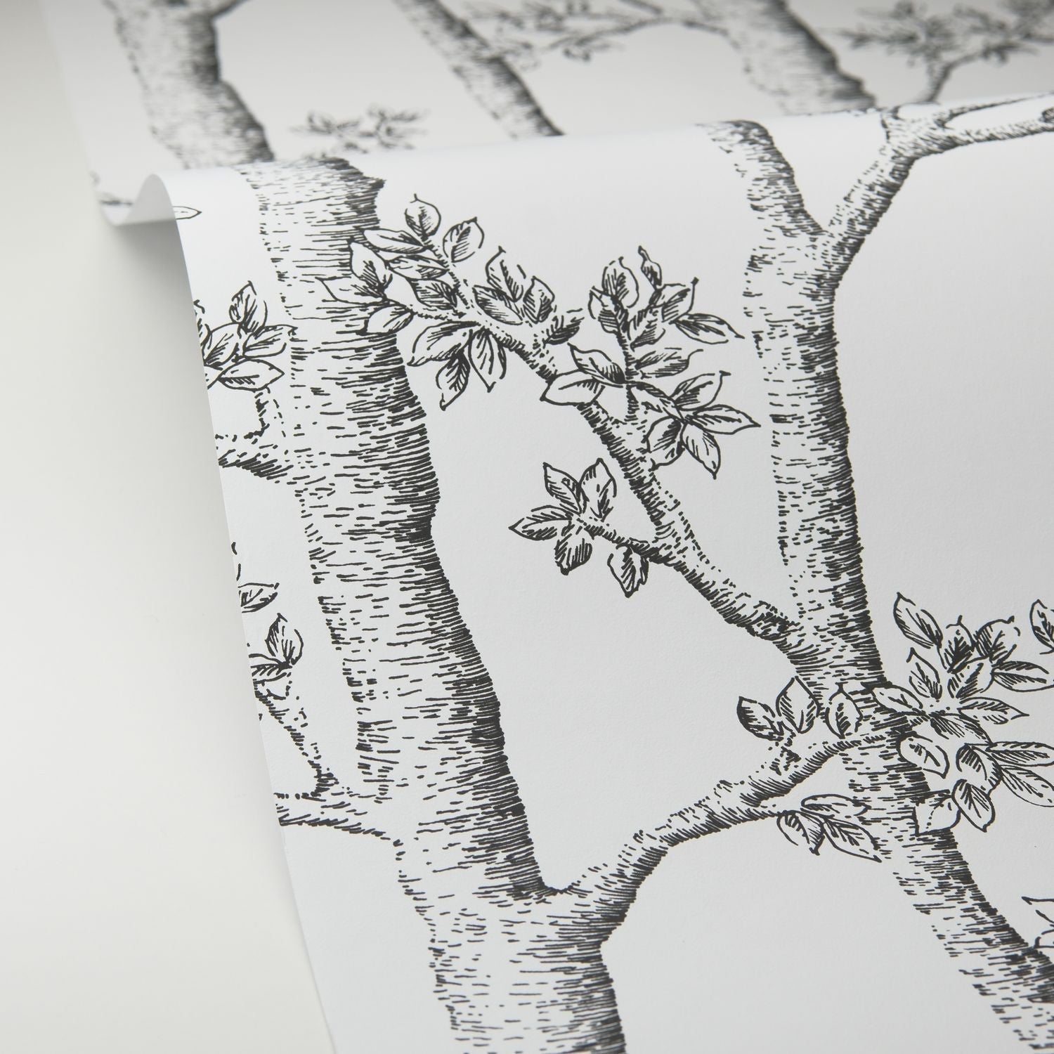 Automne Wallpaper - Blanc - Caselio - 106120000 - Premier Wallcovering