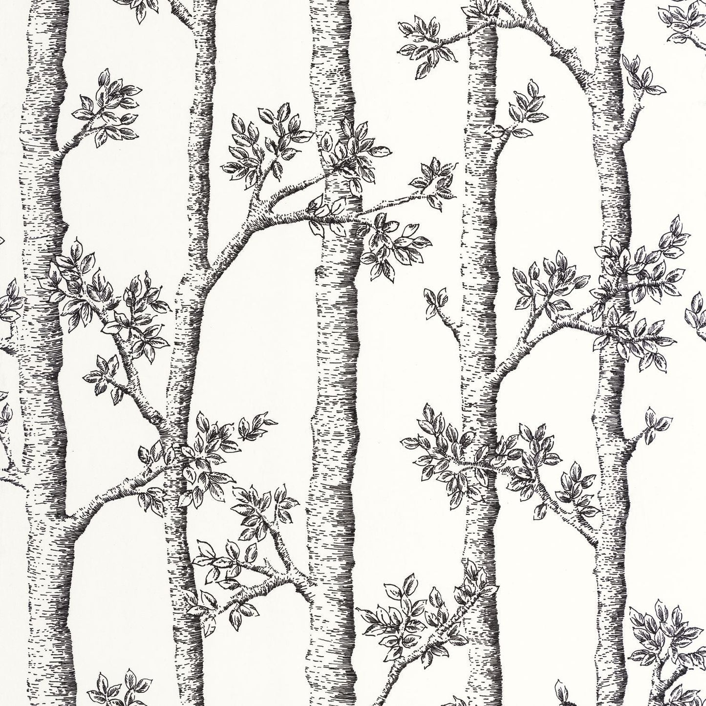 Automne Wallpaper - Blanc - Caselio - 106120000 - Premier Wallcovering