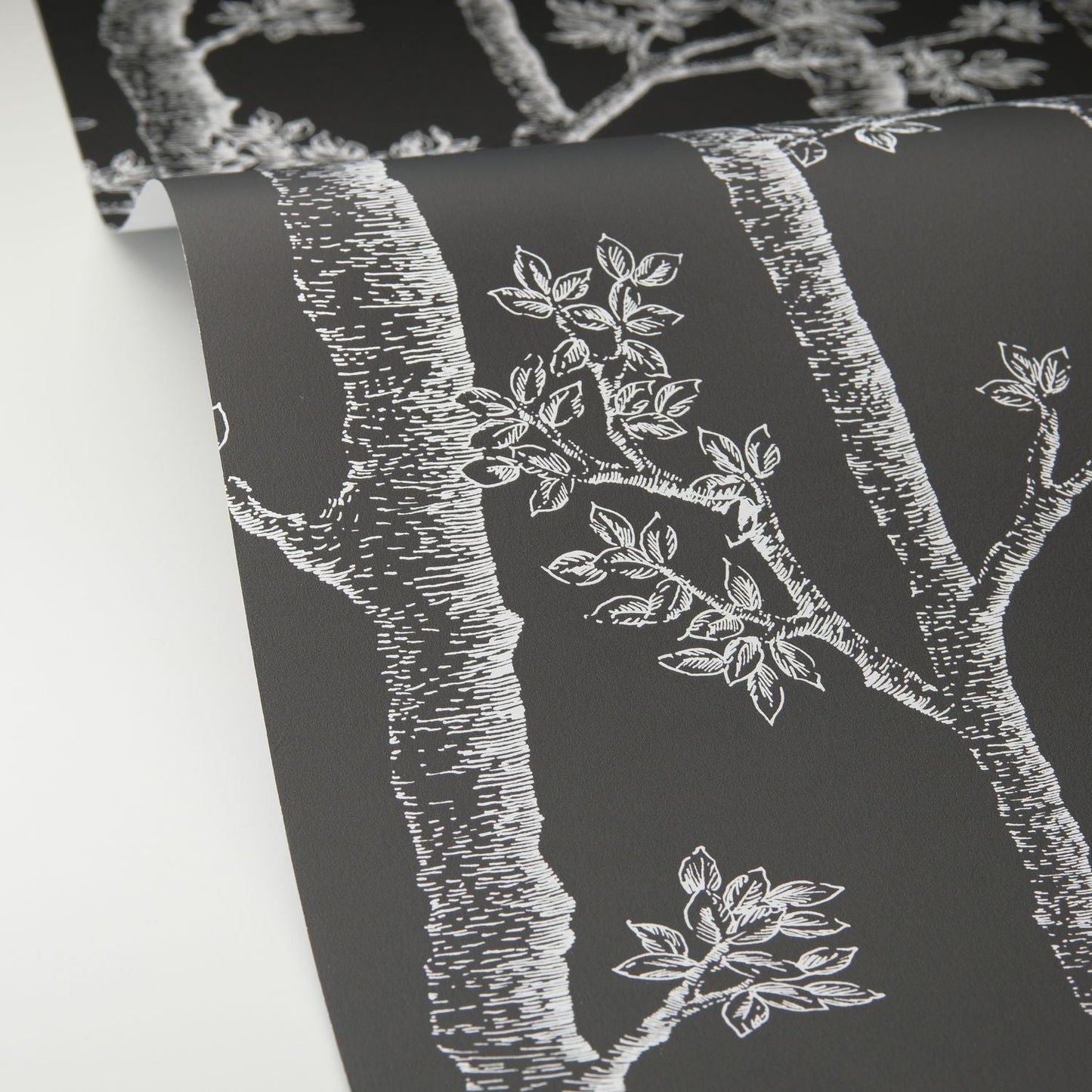 Automne Wallpaper - Noir - Caselio - 106129090 - Premier Wallcovering