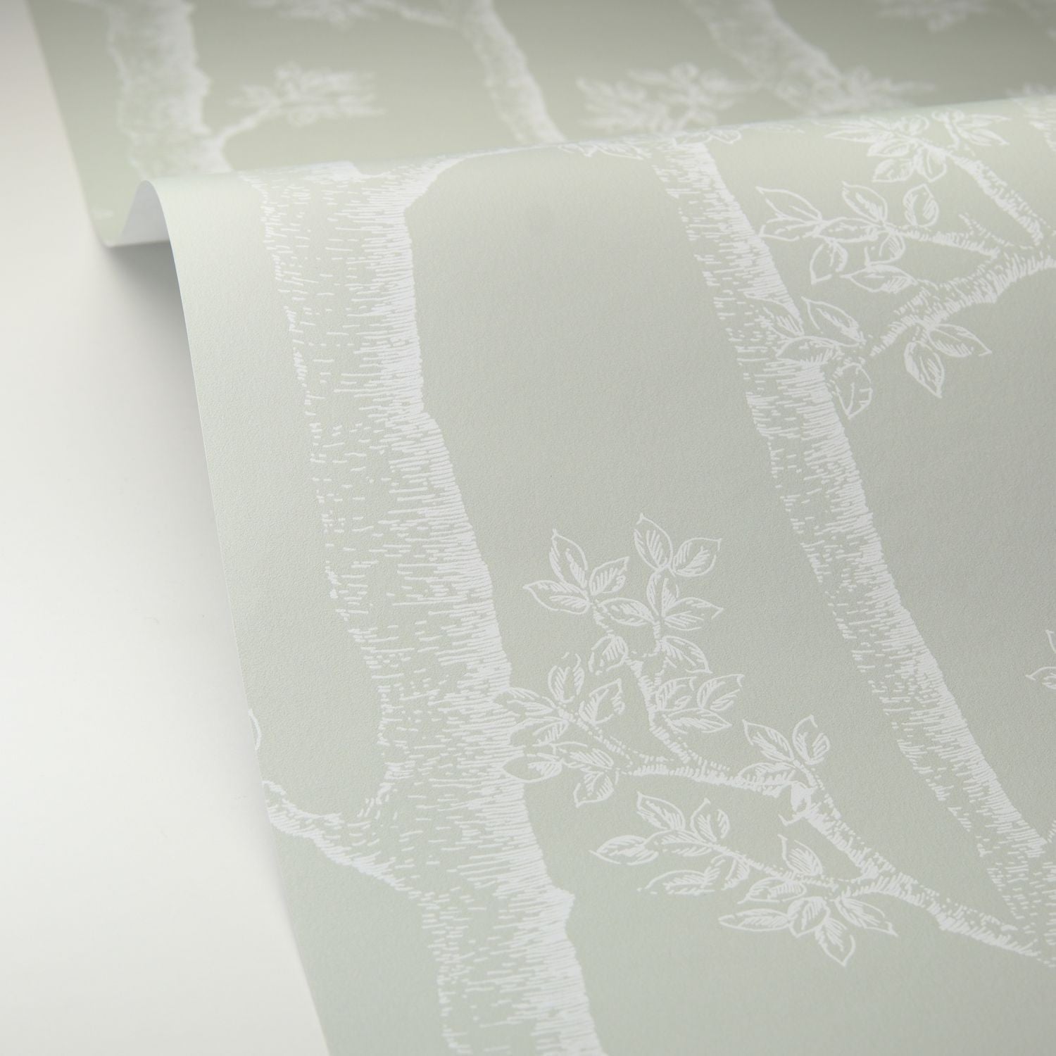 Automne Wallpaper - Vert D'eau - Caselio - 106127075 - Premier Wallcovering