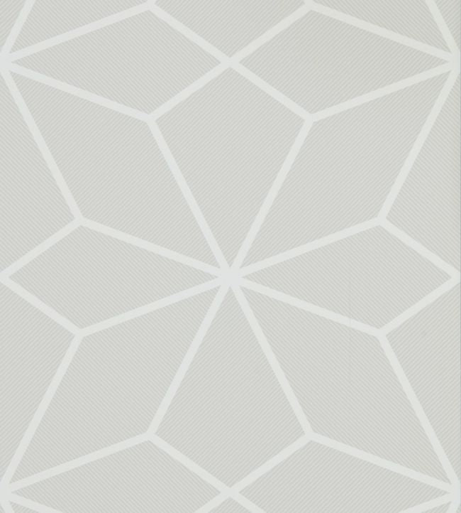 Axal Wallpaper - Slate - HMWF111981 - Harlequin - Premier Wallcovering