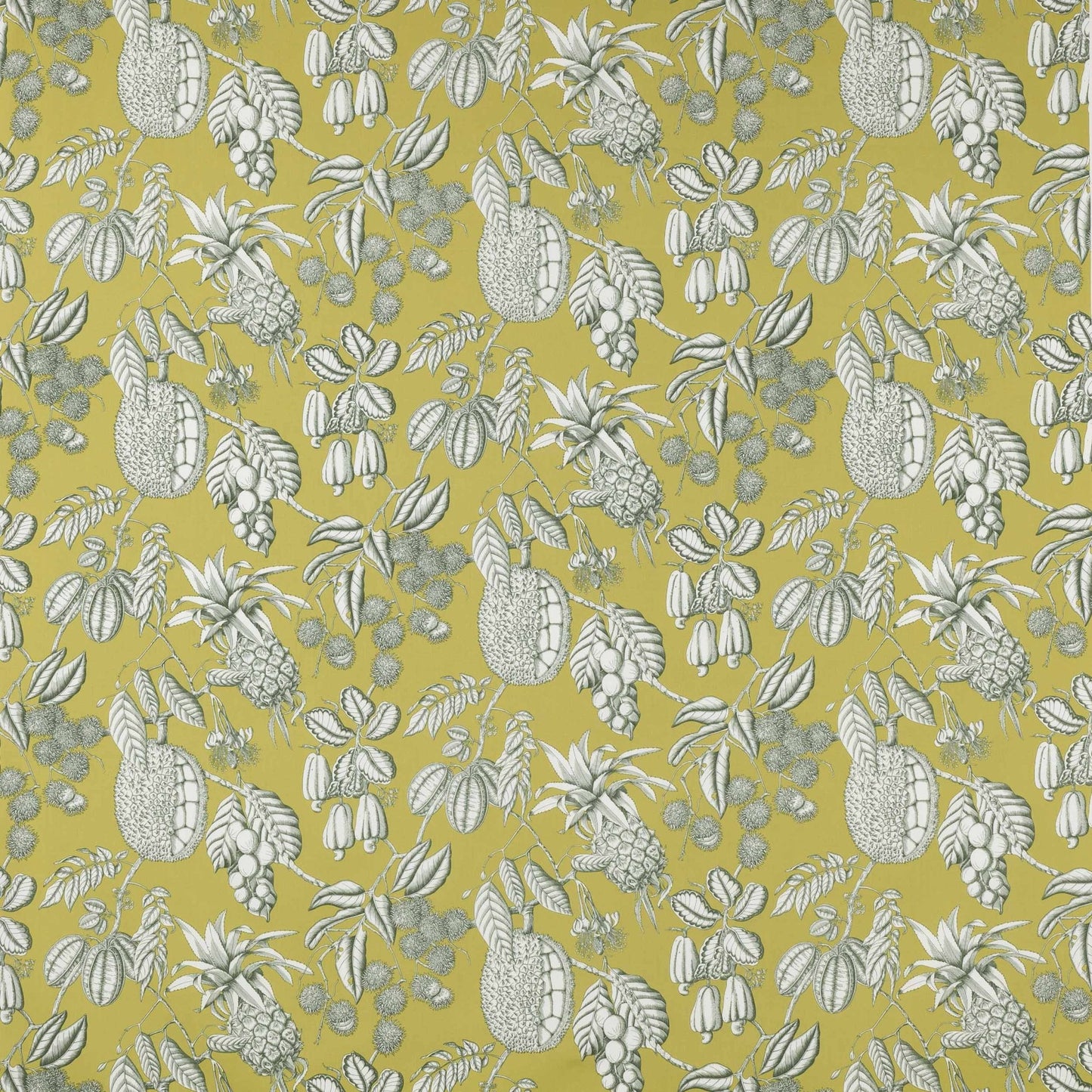 Balangan Fabric - Kiwi - Manuel Canovas - M4077-03 - Premier Wallcovering