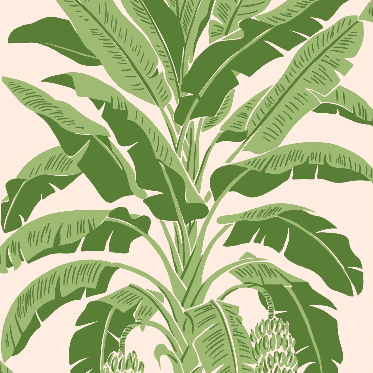 Banana Tree Wallpaper - Pink & Green - Thibaut - T13917 - Premier Wallcovering