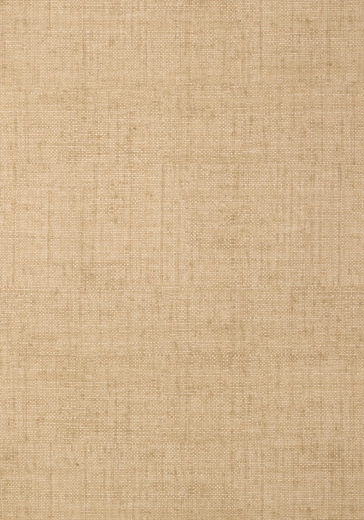 Bankun Raffia Wallpaper - Antique - Thibaut - T6817 - Premier Wallcovering