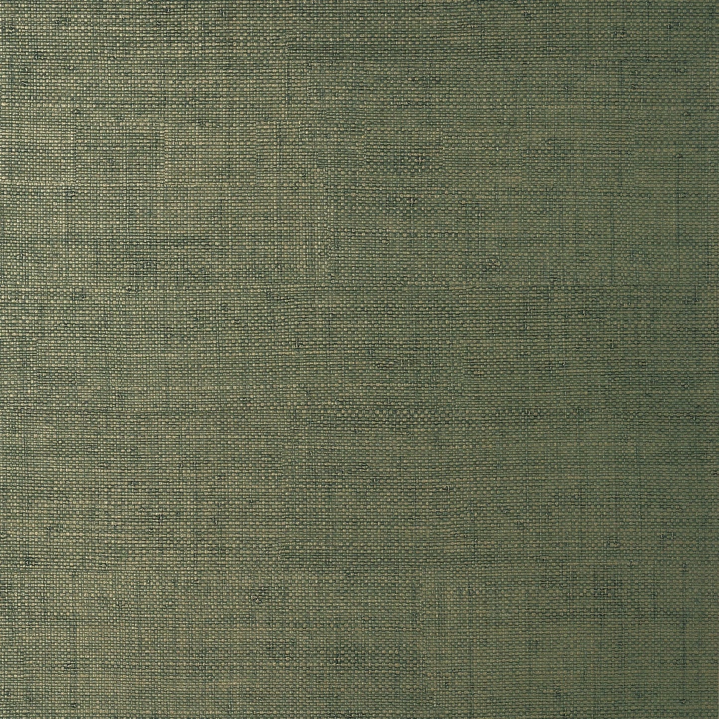 Bankun Raffia Wallpaper - Forest - Thibaut - T14513 - Premier Wallcovering
