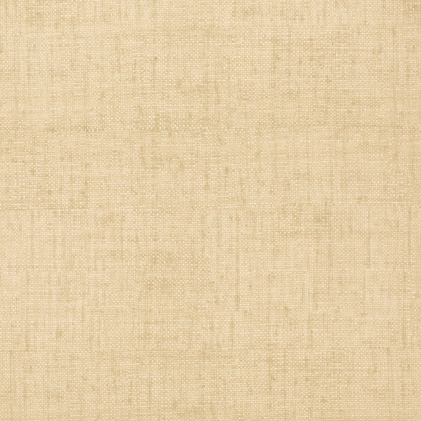Bankun Raffia Wallpaper - Wheat - Thibaut - T14136 - Premier Wallcovering