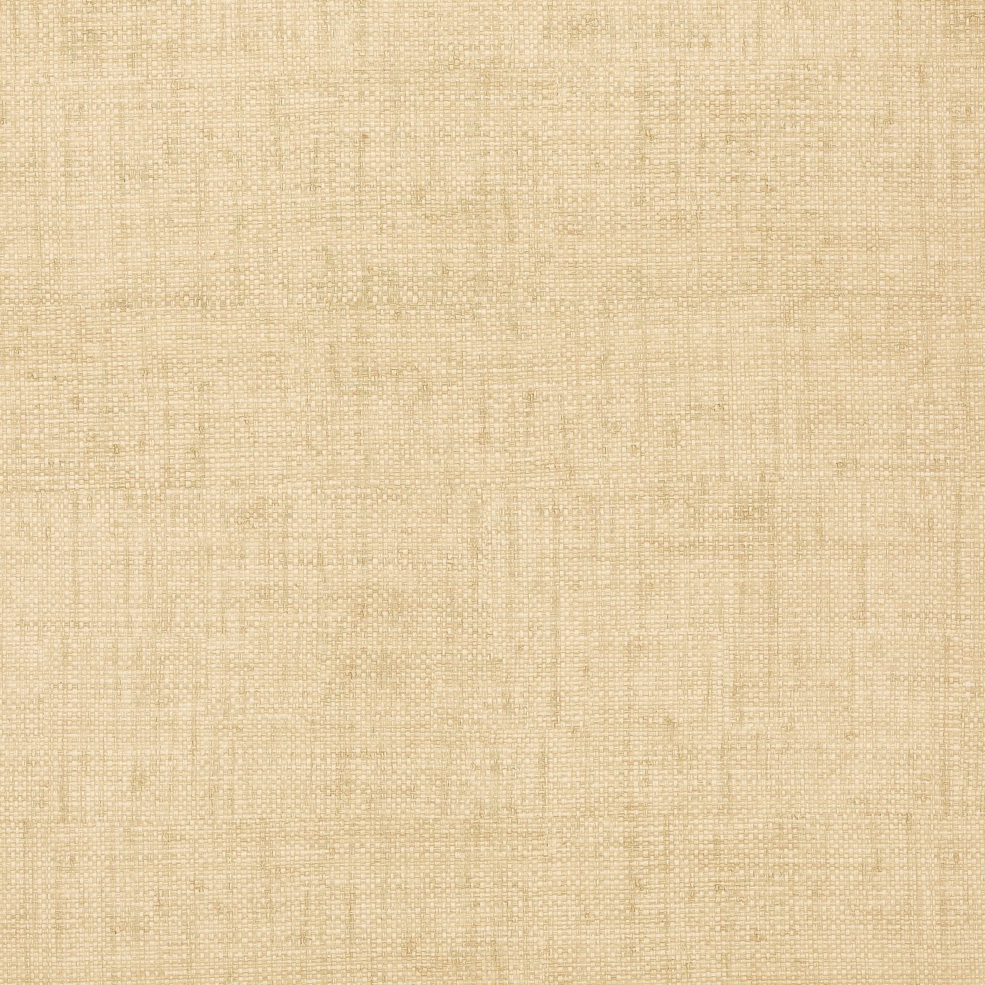 Bankun Raffia Wallpaper - Wheat - Thibaut - T14136 - Premier Wallcovering