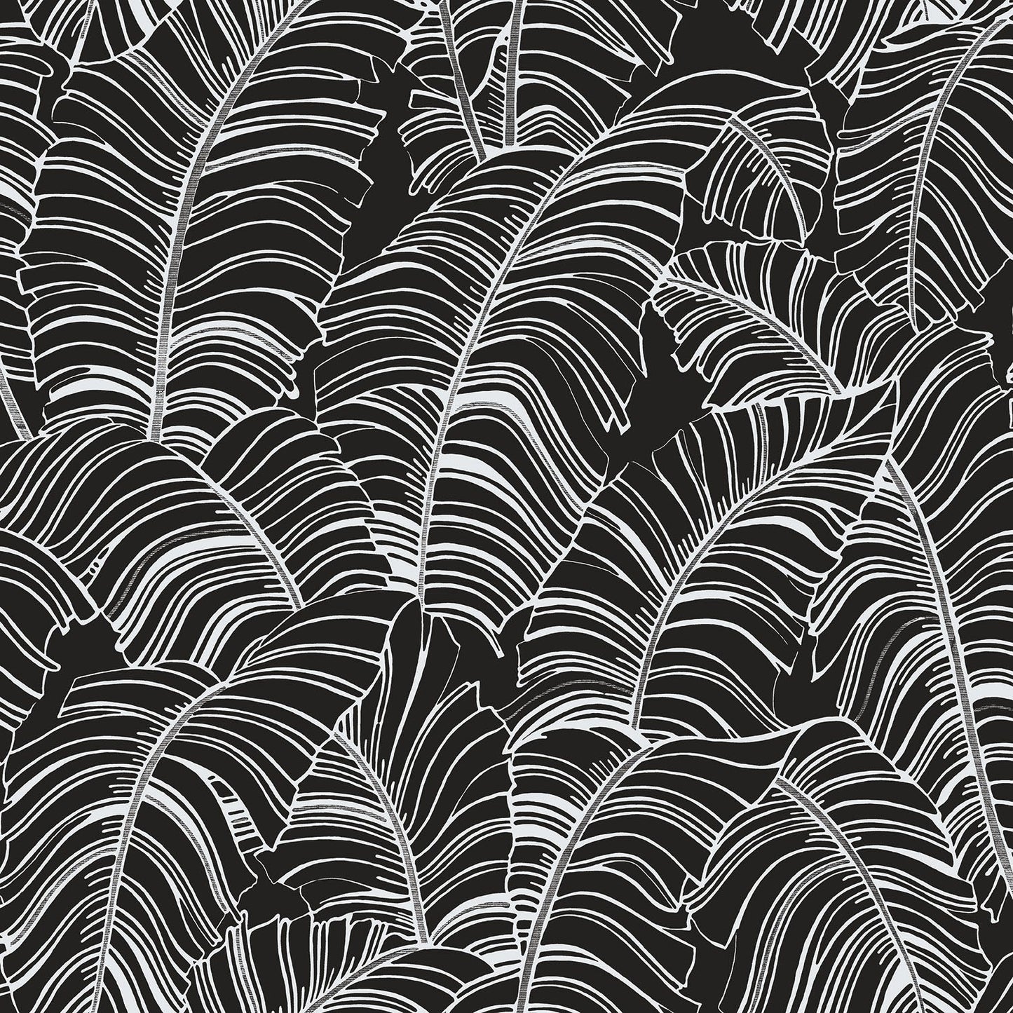 Bazaar Palm Leaves Wallpaper - Black / White - Galerie - G78297 - Premier Wallcovering