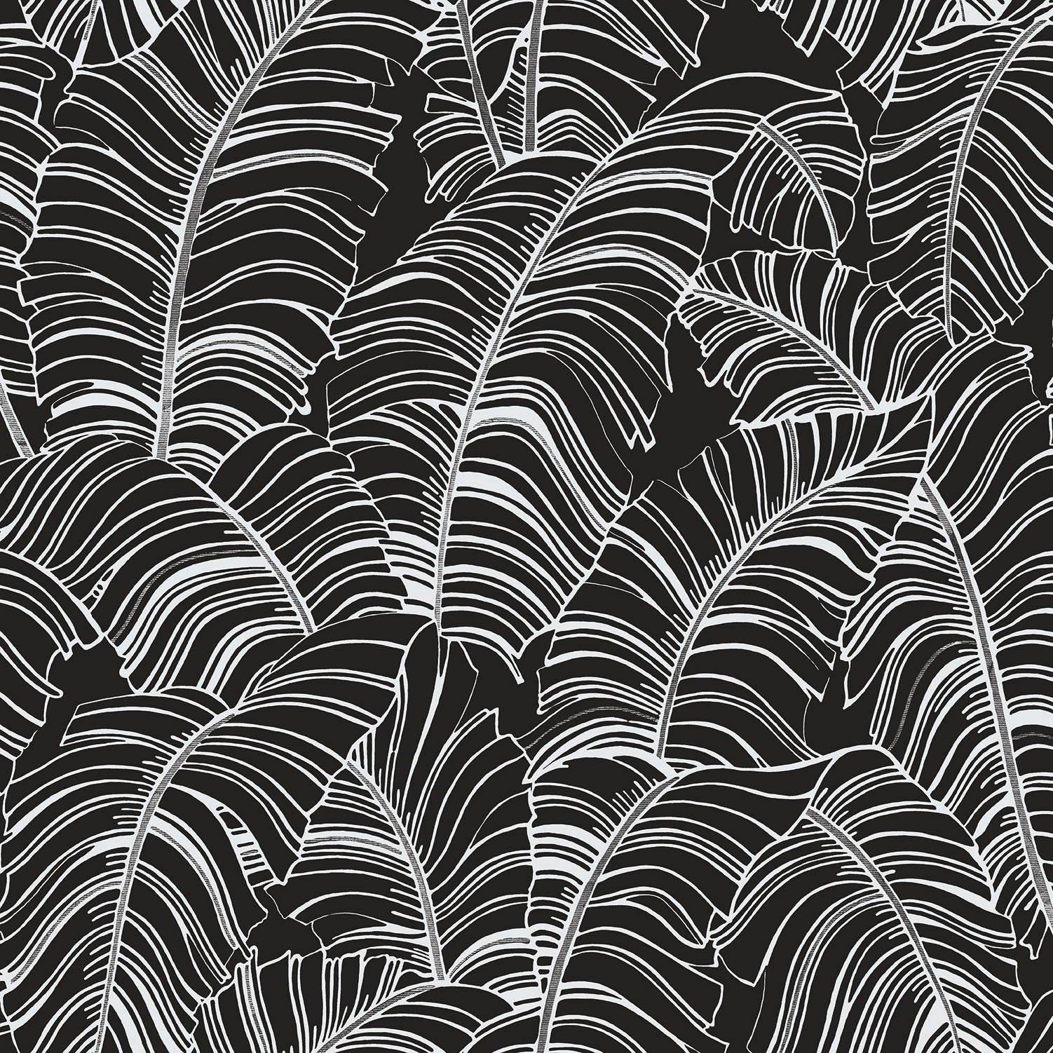 Bazaar Palm Leaves Wallpaper - Black / White - Galerie - G78297 - Premier Wallcovering