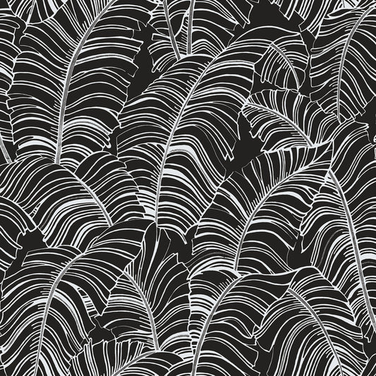 Bazaar Palm Leaves Wallpaper - Black / White - Galerie - G78297 - Premier Wallcovering