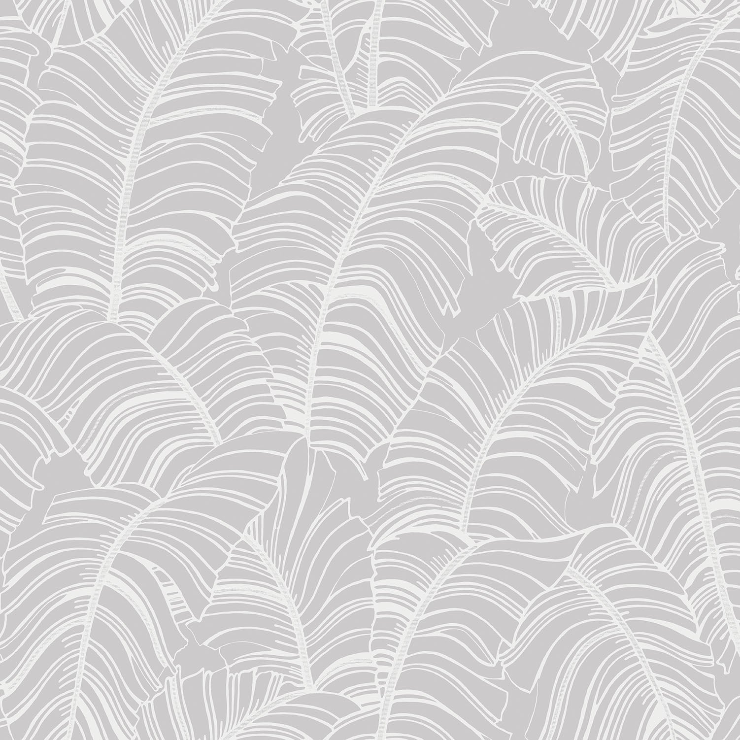 Bazaar Palm Leaves Wallpaper - Silver / White - Galerie - G78298 - Premier Wallcovering