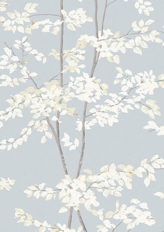 Beech Wallpaper - Cirrus - Lewis & Wood - Premier Wallcovering
