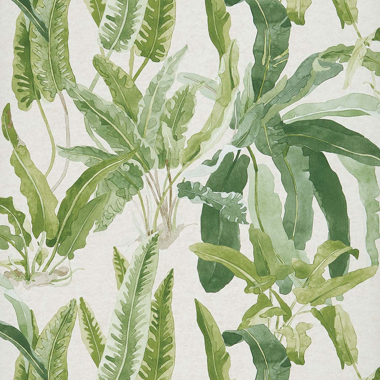 Benmore Wallpaper - Green/ Ivory - Nina Campbell - NCW4393-02 - Premier Wallcovering