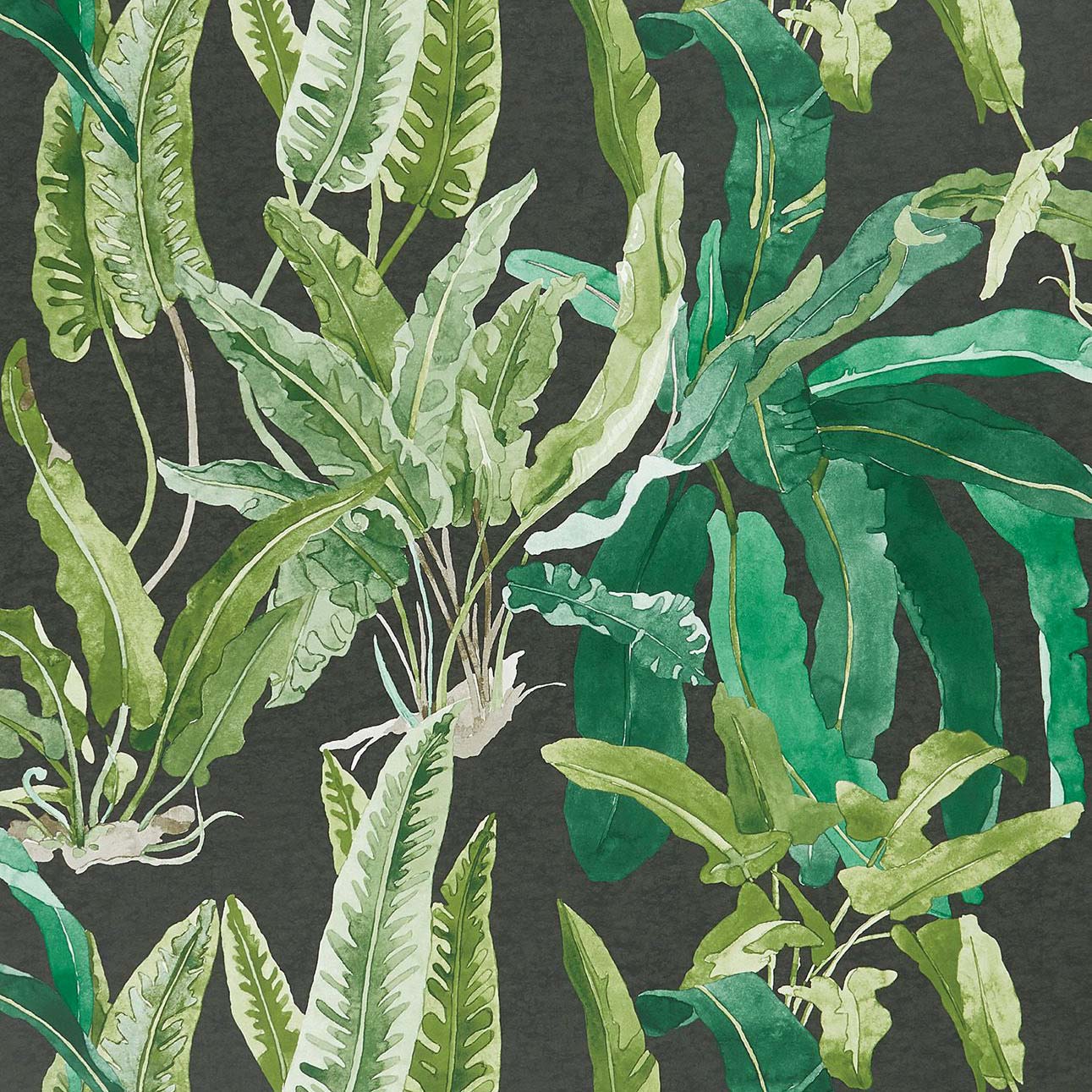 Benmore Wallpaper - Emerald/ Green/ Ebony - Nina Campbell - NCW4393-01 - Premier Wallcovering