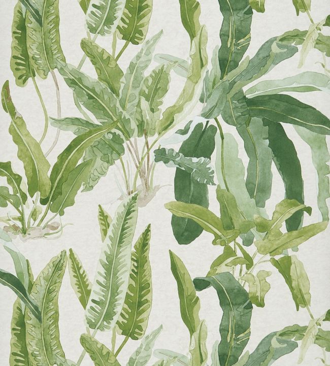 Benmore Wallpaper - Green/ Ivory - Nina Campbell - NCW4393 - 02 - Premier Wallcovering