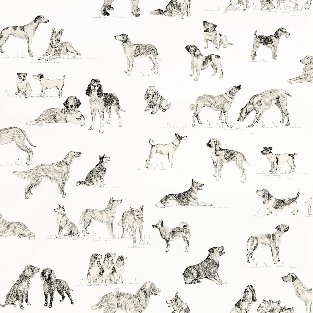 Best Friend Wallpaper - Black & White - Thibaut - T1038 - Premier Wallcovering