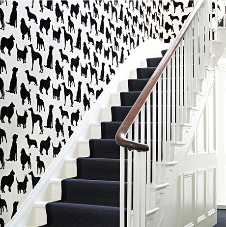 Best In Show Wallpaper - Ivory / Silver - Osborne & Little - W6181-01 - Premier Wallcovering