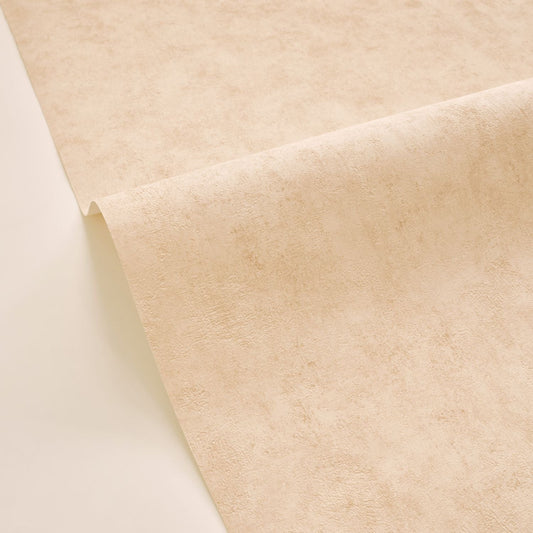 Beton Uni Wallpaper - Beige - Caselio - 101482551 - Premier Wallcovering