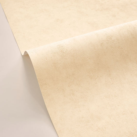 Beton Uni Wallpaper - Ivoire - Caselio - 101481247 - Premier Wallcovering