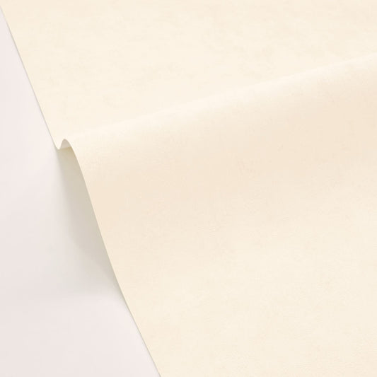 Beton Uni Wallpaper - Blanc Beige - Caselio - 101480010 - Premier Wallcovering