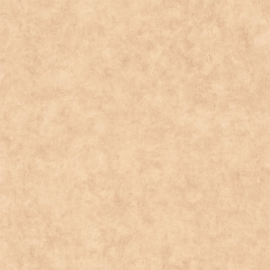 Beton Uni Wallpaper - Beige - Caselio - 101482446 - Premier Wallcovering