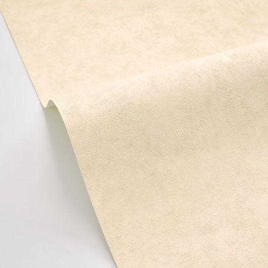 Beton Uni Wallpaper - Brume Irise - Caselio - 101491460 - Premier Wallcovering