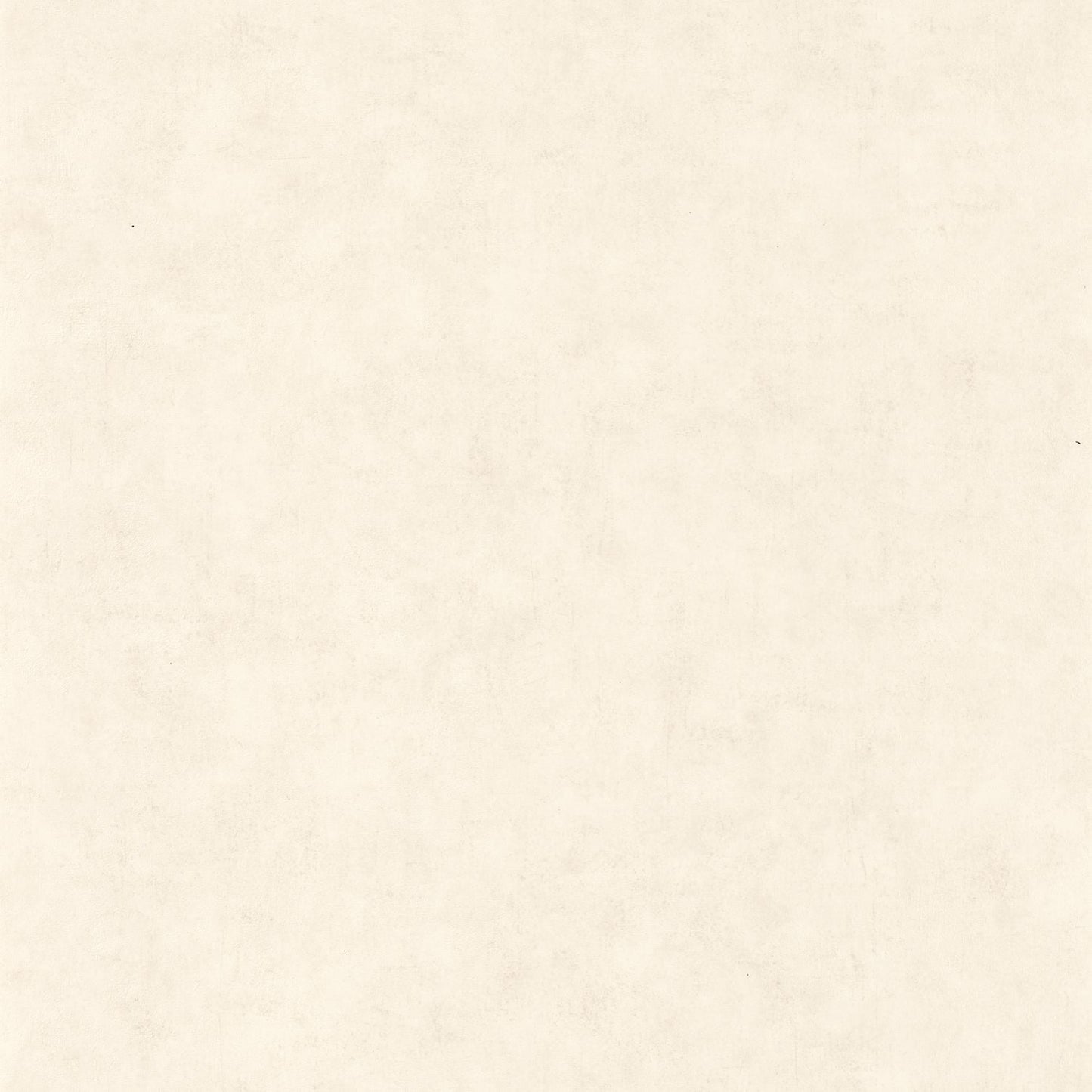 Beton Uni Wallpaper - Blanc Beige - Caselio - 101480010 - Premier Wallcovering