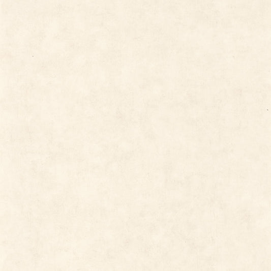 Beton Uni Wallpaper - Blanc Beige - Caselio - 101480010 - Premier Wallcovering