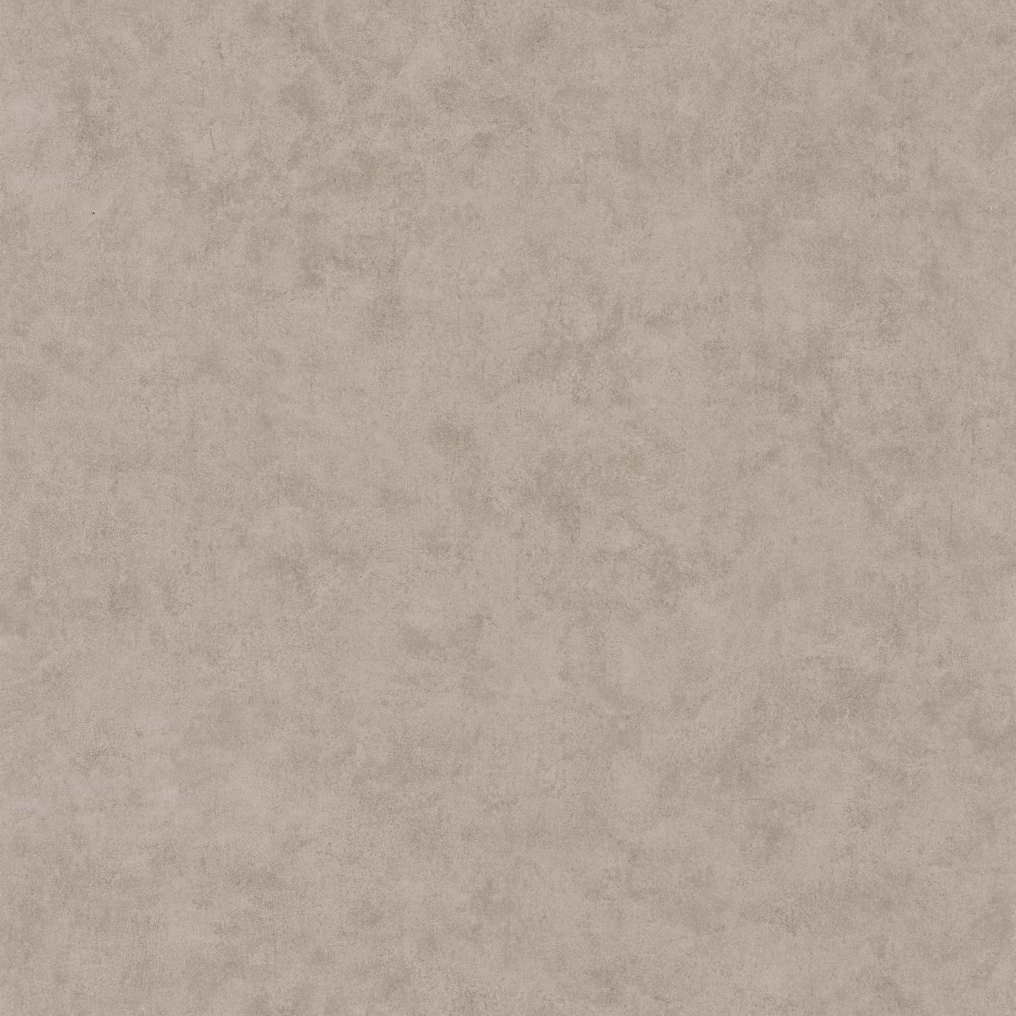 Beton Uni Wallpaper - Taupe Gris Moyen - Caselio - 101481795 - Premier Wallcovering