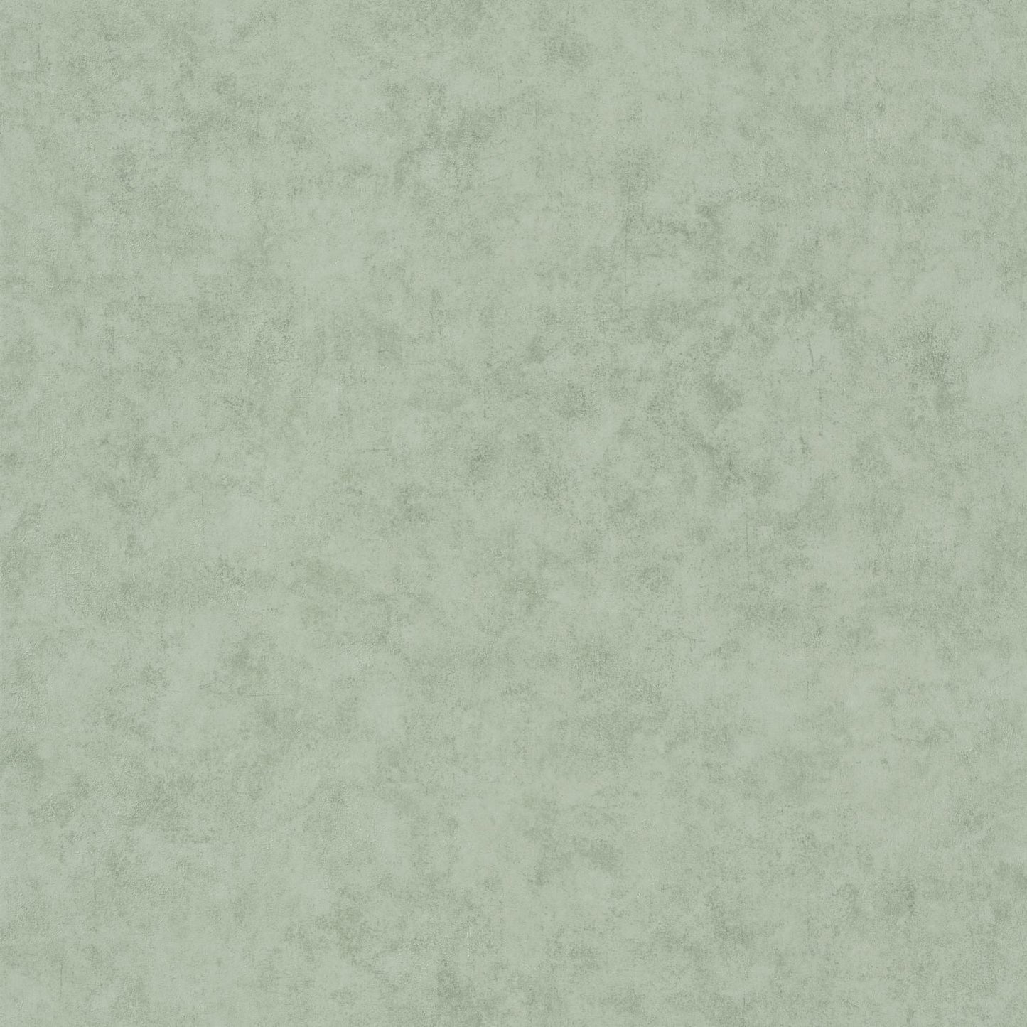 Beton Uni Wallpaper - Eucalyptus - Caselio - 101487332 - Premier Wallcovering