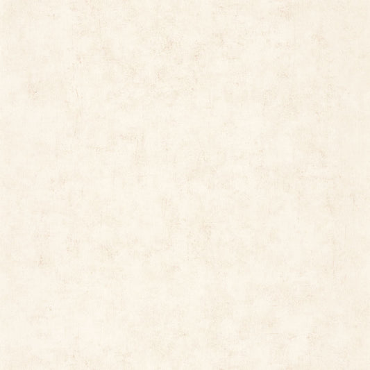 Beton Uni Wallpaper - Beige Nacre - Caselio - 101491019 - Premier Wallcovering