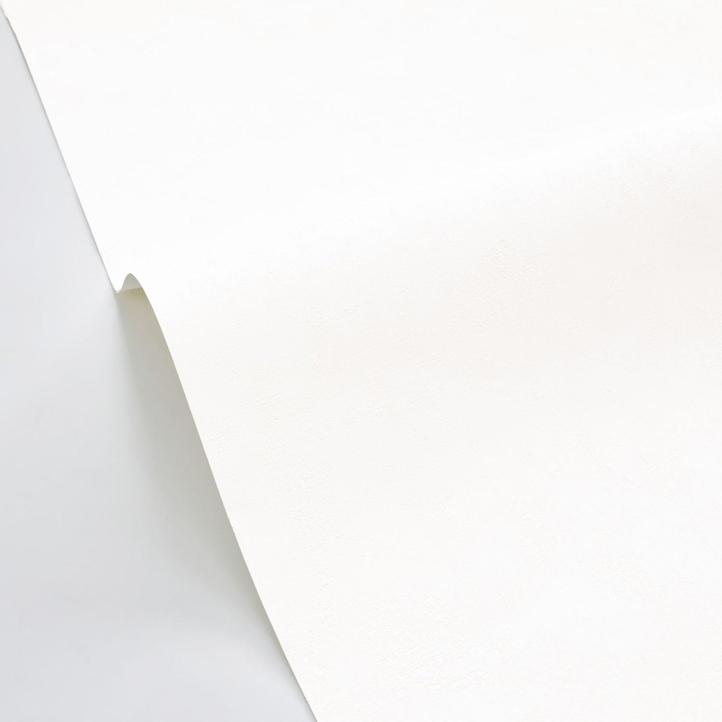 Beton Uni Wallpaper - Blanc - Caselio - 101480000 - Premier Wallcovering