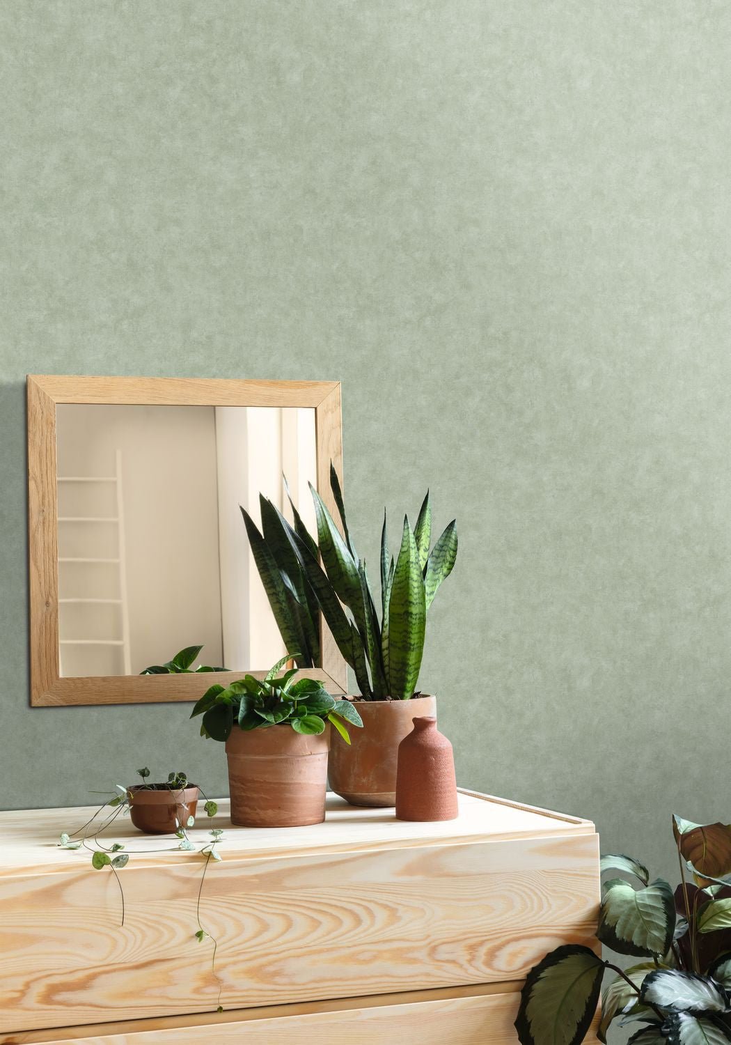 Beton Uni Wallpaper - Eucalyptus - Caselio - 101487332 - Premier Wallcovering
