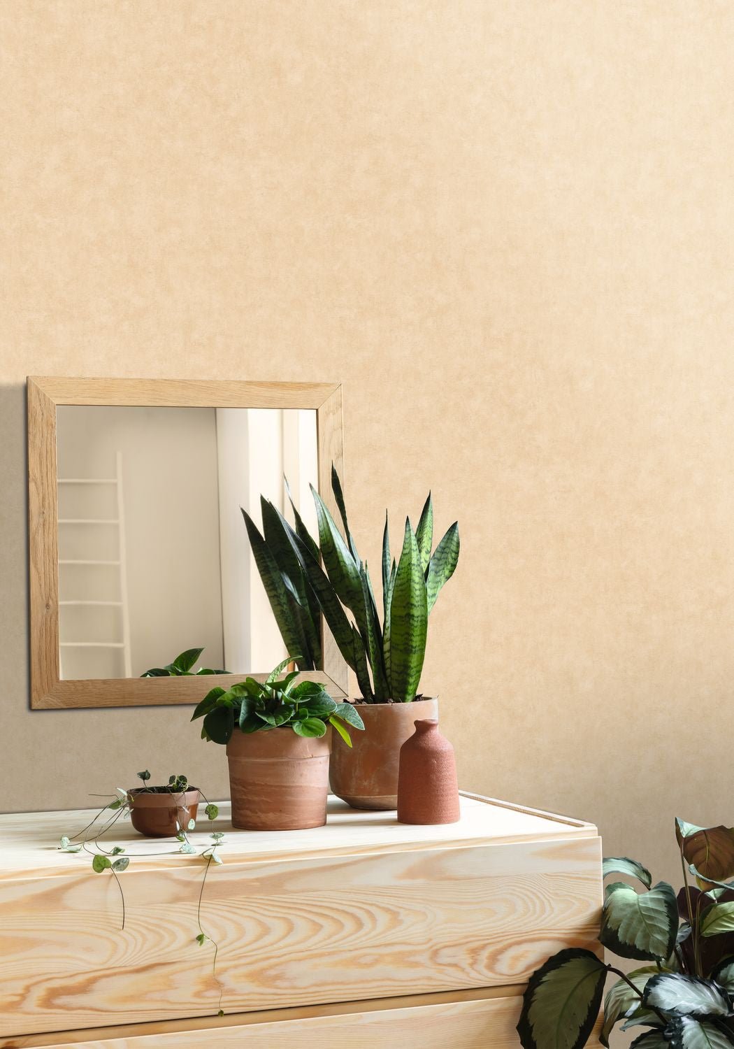 Beton Uni Wallpaper - Dune - Caselio - 101481674 - Premier Wallcovering