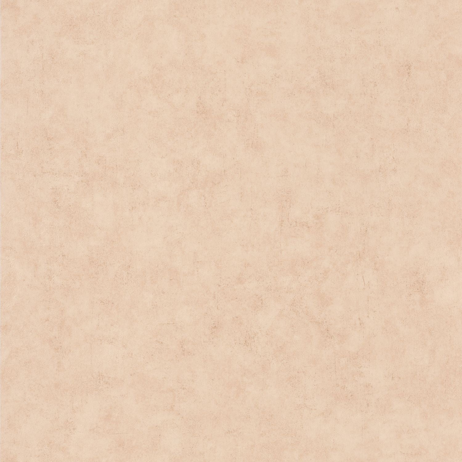 Beton Uni Wallpaper - Beige - Caselio - 101482551 - Premier Wallcovering