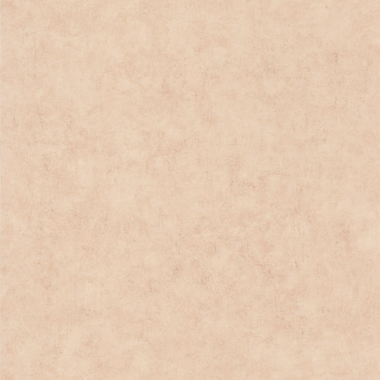 Beton Uni Wallpaper - Beige - Caselio - 101482551 - Premier Wallcovering