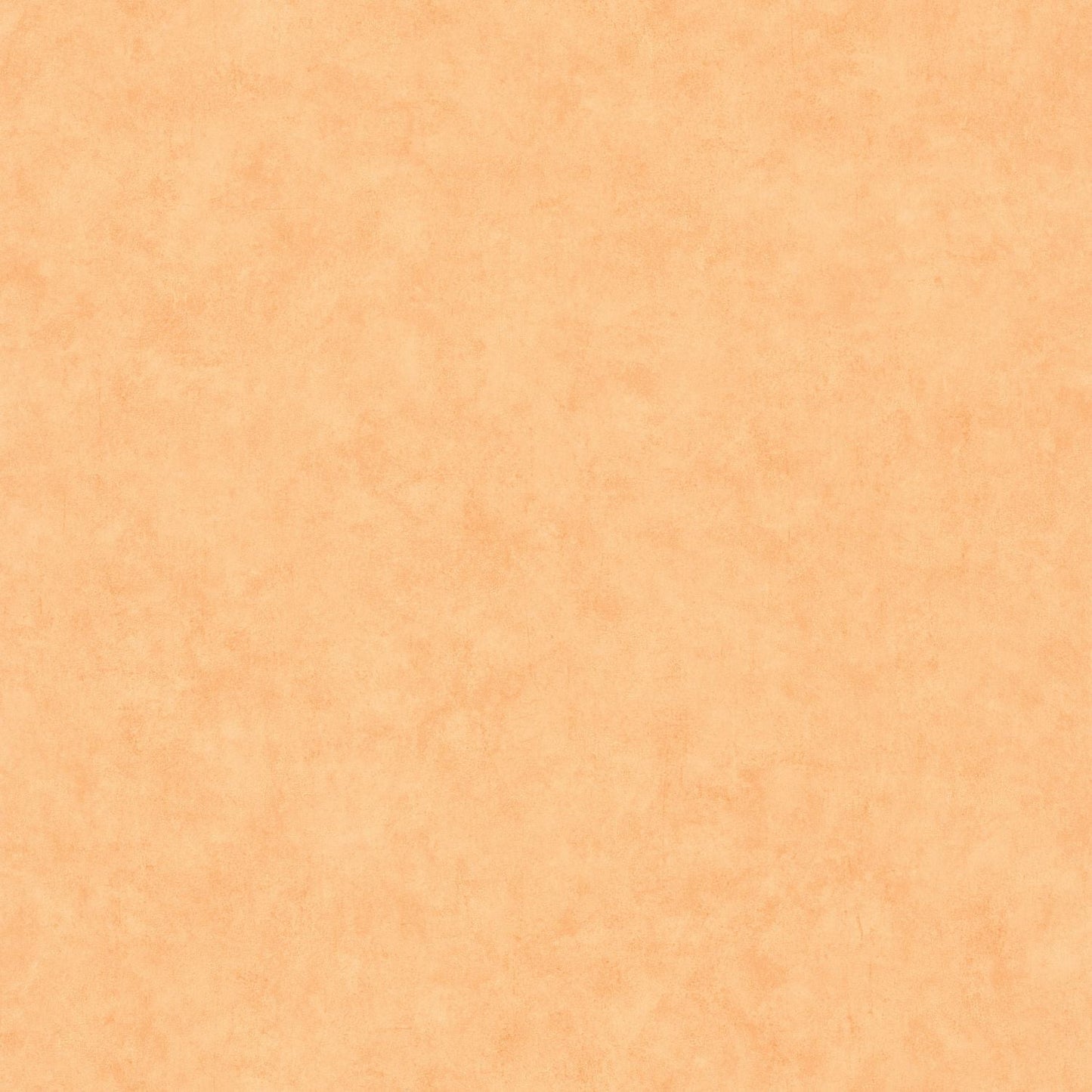 Beton Uni Wallpaper - Savane - Caselio - 101483250 - Premier Wallcovering