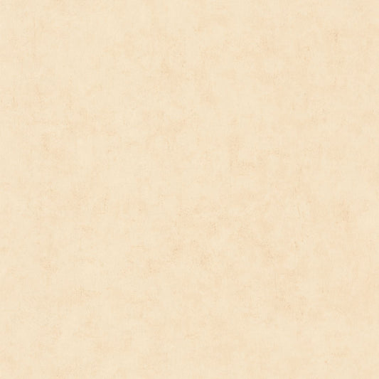 Beton Uni Wallpaper - Ivoire - Caselio - 101481247 - Premier Wallcovering